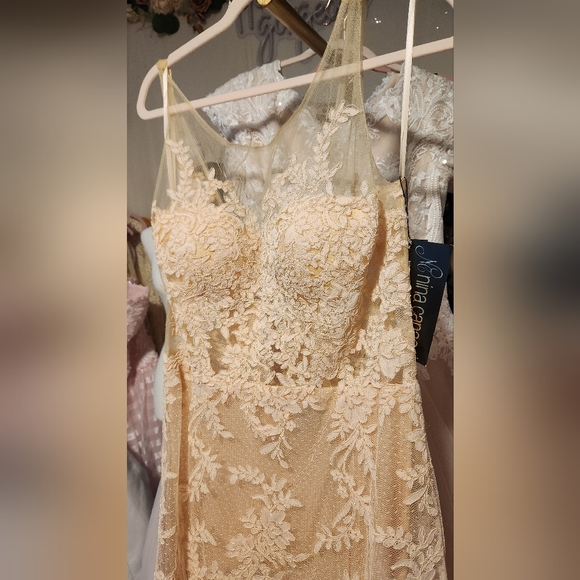 NWT Vintage Size 16 Nina Canacci Nude Floral Lace Sheath Gown - Picture 5 of 7